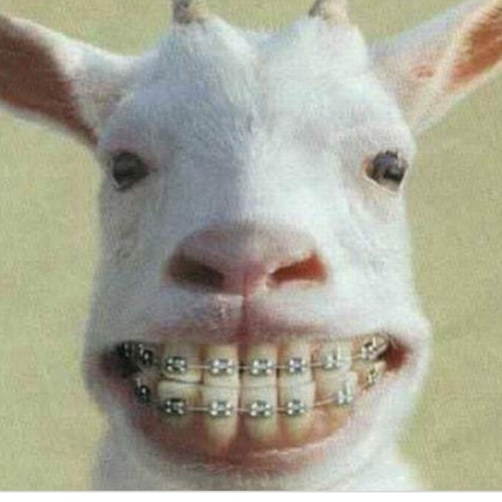 Meet your Posher, Allyson